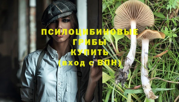 герыч Абдулино